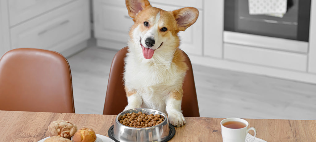 Primena probiotika i vitamina