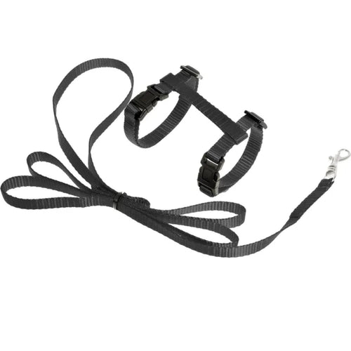 FLAMINGO Am sa povodnikom za macice KITTY ArtSportiv Crni 10mm/116cm