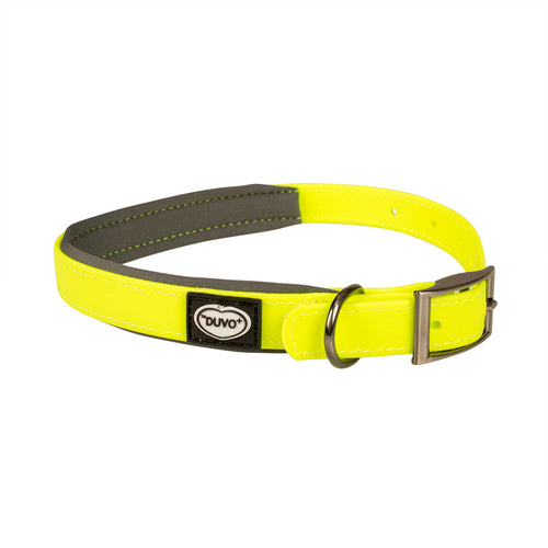 EXPLOR South Ogrlica, PVC, L 35-55cm/20mm, Neon Zuta