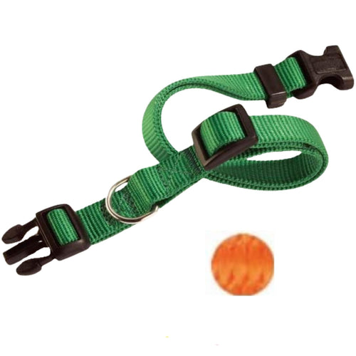 CAMON Ogrlica za pse od najlona sa kopcom Narandzasta 18mm/35-50cm