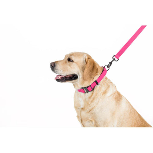 WAUDOG Povodac za pse vodootporan, Roze, 183cm