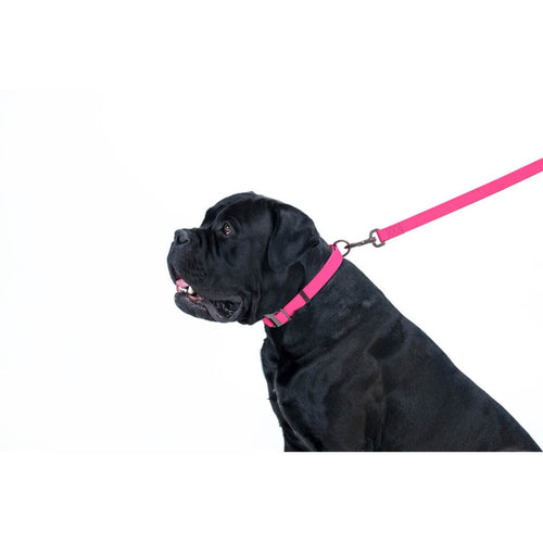 WAUDOG Povodac za pse vodootporan, Roze, 183cm
