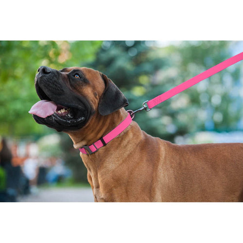 WAUDOG Povodac za pse vodootporan, Roze, 183cm