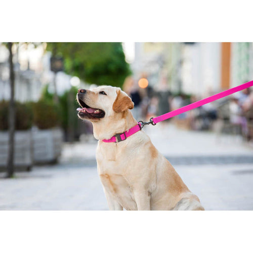 WAUDOG Povodac za pse vodootporan, Roze, 183cm
