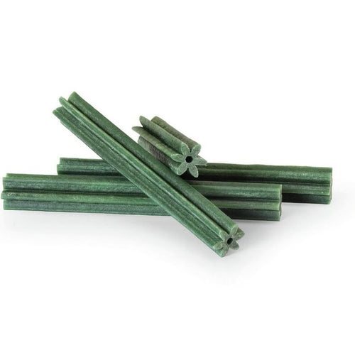 CAMON Natural Poslastica za pse Stapic Zeleni, za dentalnu higijenu