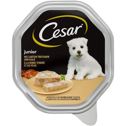 CESAR Classics Pasteta za stence JUNIOR s curetinom i teletinom, 150g