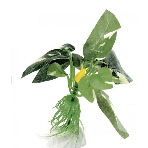 FERPLAST Bilje za akvarijum Anubias, svileno 10cm