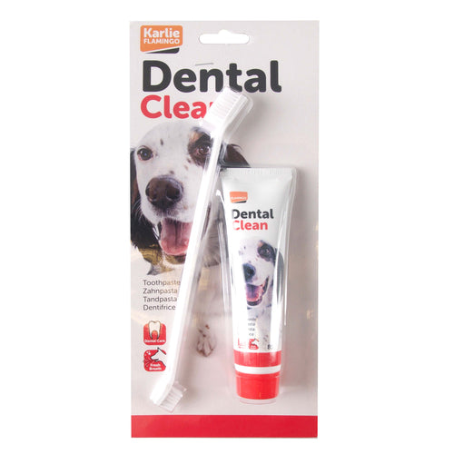 FLAMINGO Pasta za zube i cetkica Dental Clean, za svez dah 85g