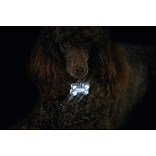 FLAMINGO Privezak za pse Blinki Kost svetleci, sa 6 LED sijalica 5x3cm