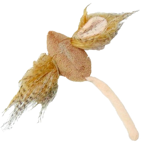 PAWISE Igracka za macke Mis Crazy Ear Catnip, 7cm, raznih boja