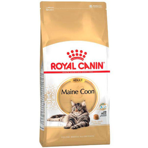 ROYAL CANIN FBN Adult Maine Coon