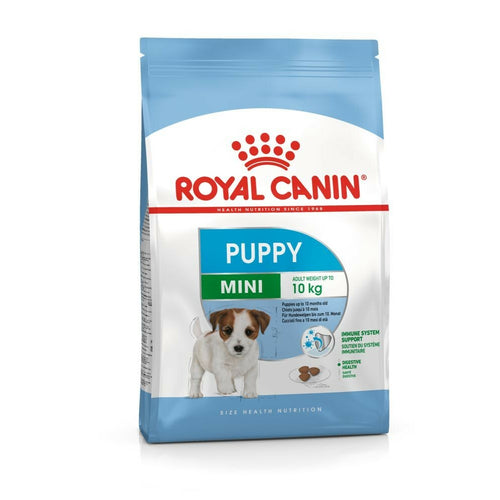 ROYAL CANIN SHN Mini PUPPY, 2-10 meseca, 800g