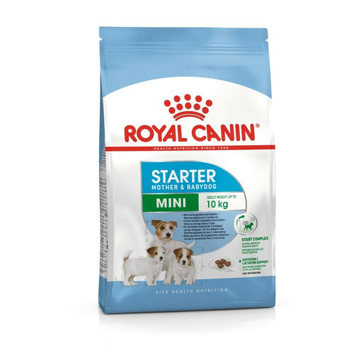 ROYAL CANIN SHN Mini Starter Mother&BabyDog, 1kg