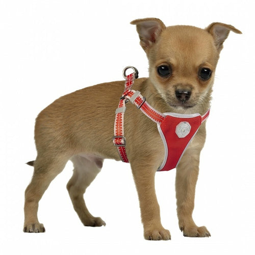 DUVO+ Sigurnosni Am s povodnikom, USB punjenje, 120x35-45cm/15mm