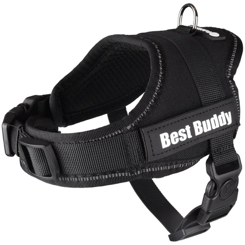 OUTLET FLAMINGO Am za pse Best Buddy Pluto Crni XXS 32-42cm/20mm