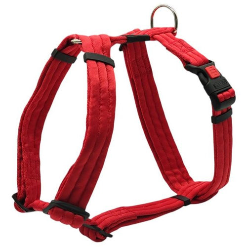 MATIS Am za pse H-tip XL/2,5cm Soft  crvena