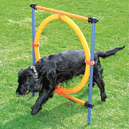 PAWISE Igračka za pse Agility, za trening Ring 55cm