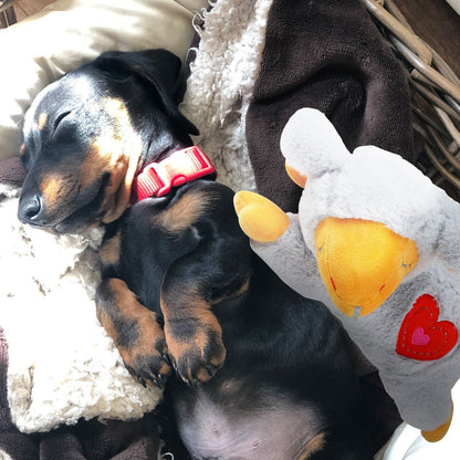ALL4PAWS Little Buddy PUPPY Igračka za štenad Srce sa simulatorom otkucaja, 6,5c
