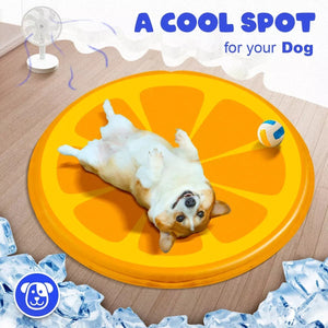 ALL4PAWS ChillOut Orange Prostirka za hlađenje, 60x0,8cm
