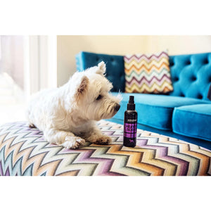 ANIMOLOGY Parfem za pse Star Pups Mist, 150ml