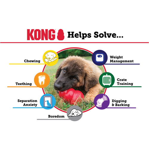 KONG Igračka za štence PUPPY dispenzer, raznih boja