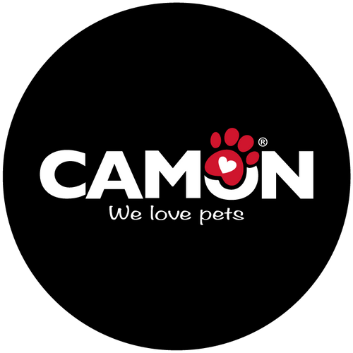 Camon