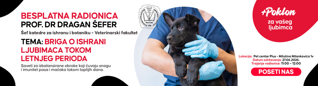 HTTPS WWW PET CENTAR RS PAGES RADIONICE SA VETERINAROM 1