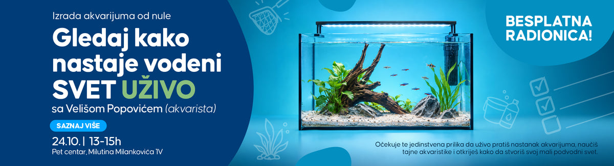 HTTPS WWW PET CENTAR RS PAGES RADIONICA AKVARISTIKE