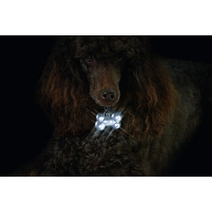 OUTLET FLAMINGO Privezak za pse Blinki Kost svetleći, sa 6 LED sijalica 5x3cm
