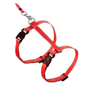 FLAMINGO Am sa povodnikom za velike mačke ArtSportiv Crveni XXL 12mm/120cm