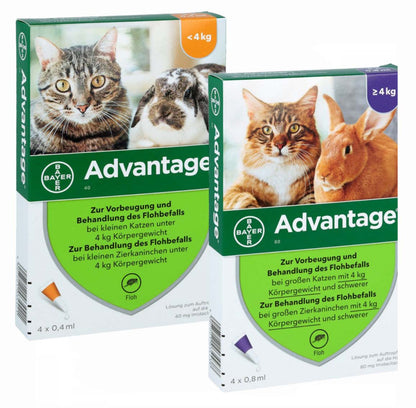 ADVANTAGE (Elanco) Ampula SpotOn za mačke i kuniće, antiparazitska