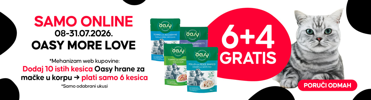 COLLECTIONS OASY AKCIJA 6 4