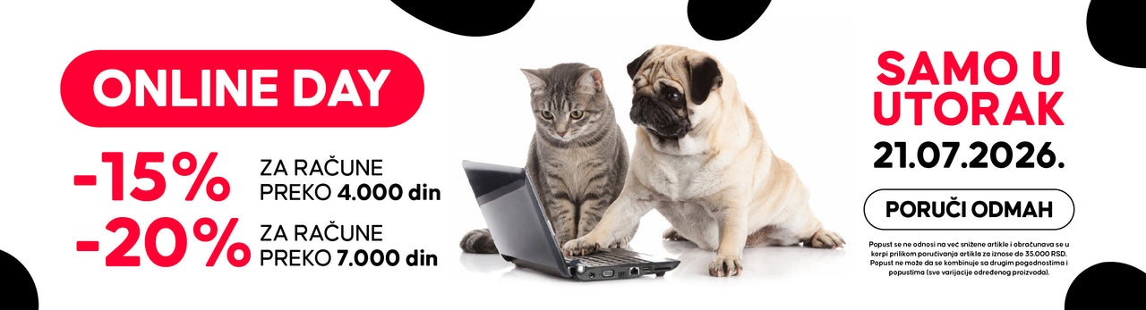 PAGES WEB AKCIJA