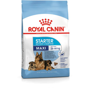 ROYAL CANIN SHN Maxi Starter Mother&BabyDog, 4kg