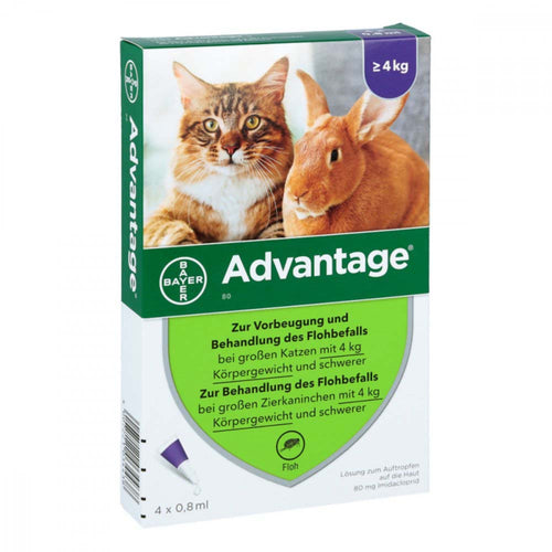 ADVANTAGE (Elanco) Ampula SpotOn za macke i kunice *80 Large, 4-8kg