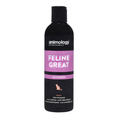 ANIMOLOGY Sampon za macke Feline Great, s mirisom breskve, 250ml