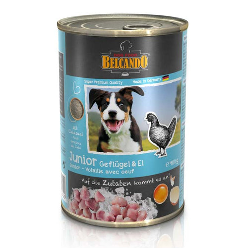 BELCANDO JUNIOR s piletinom i jajima, 400g