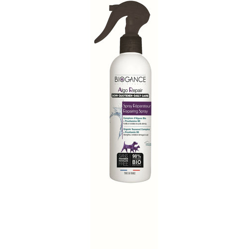 BI Algo Repair sprej  250ml