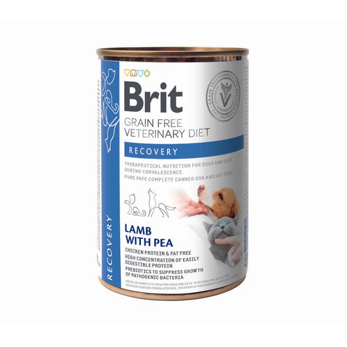 BRIT VD Dog&Cat Recovery, za oporavak, bez zitarica, 400g