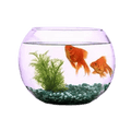 Akvaristika / Akvarijumi i postolja