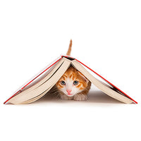 Literatura o mačkama