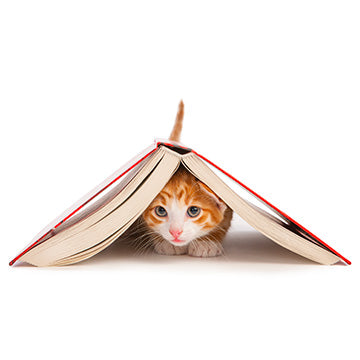 Literatura o mačkama