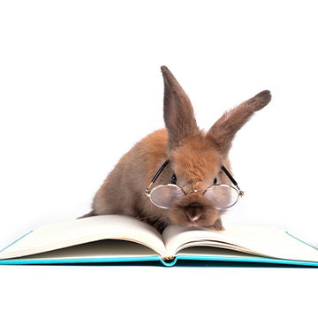 Literatura za vlasnike malih životinja