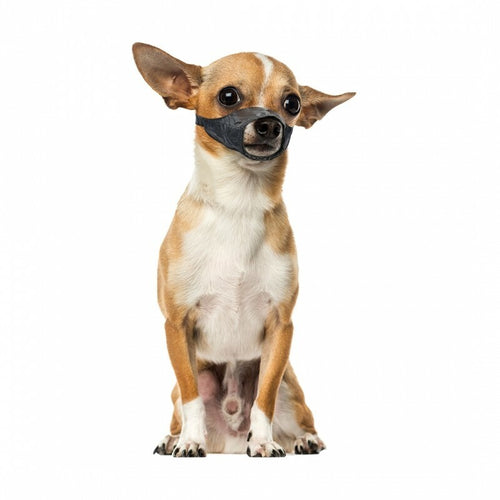 DUVO+ Korpa za pse XS 3951cm