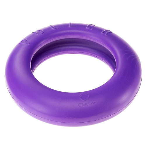 FERPLAST Igracka za pse Prsten Fitness&Training Maxi, Ljubicasta, 2kom, 29x7,5cm