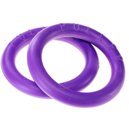FERPLAST Igracka za pse Prsten Fitness&Training Standard, Ljubicasta, 1kom, 27x8