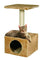 FLAMINGO Grebalica za mačke Sassiere 30x30x55cm