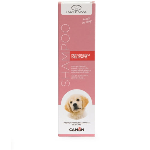 INGENYA Sampon za stenad Gentle sa uljem cajevca i pamuka 250ml