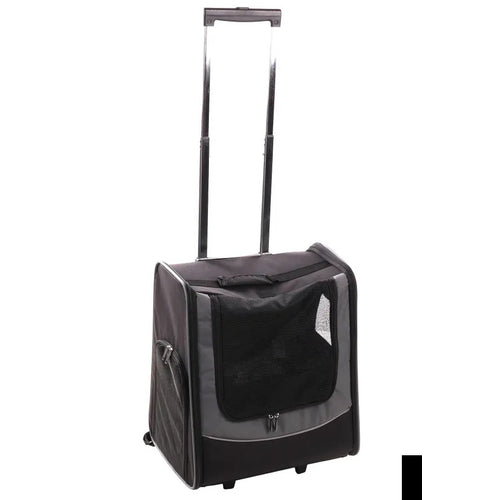 FL Tor/kol za p i m SalYPTO L