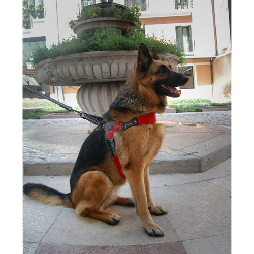 OUTLET CORALPINA Am za pse, Fiames, Dynamic, Crveni, vel 9, (18-35kg), 76-90cm
